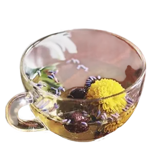 herbal-wellness-tea A clear glass cup of herbal wellness tea with chrysanthemum, goji berries, and dried botanicals
